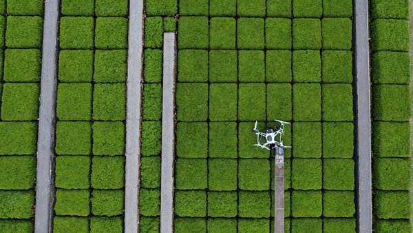 Démoussage toiture et nettoyage façade : l'innovation par drone