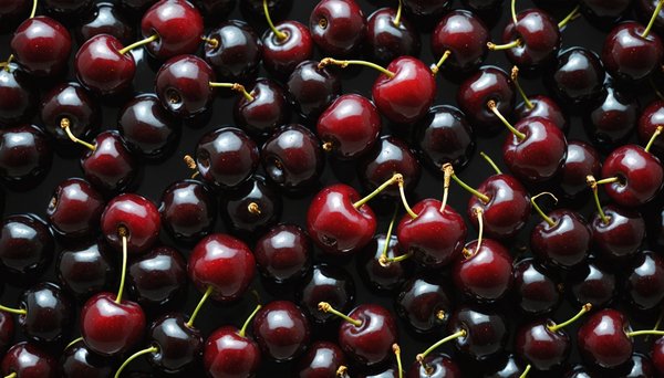 Cerisier noire : découvrez ses secrets et ses délices