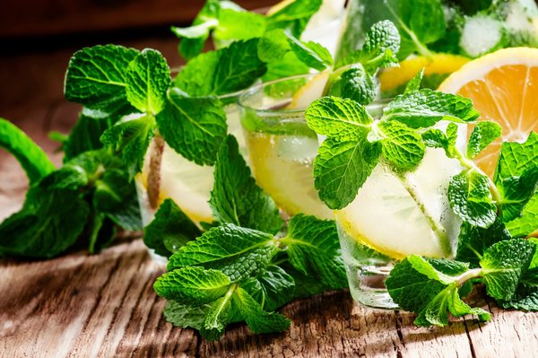 Perforateurs lidl : quel modèle parkside choisir en 2025 ?